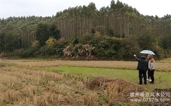 湘西土家族苗族自治州陈老师带着爱徒寻龙点穴